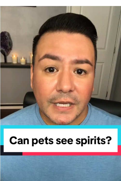 Can pets see spirits? I swear my house is not haunted. 😂 #pet #ghosts #spirits #haunted 