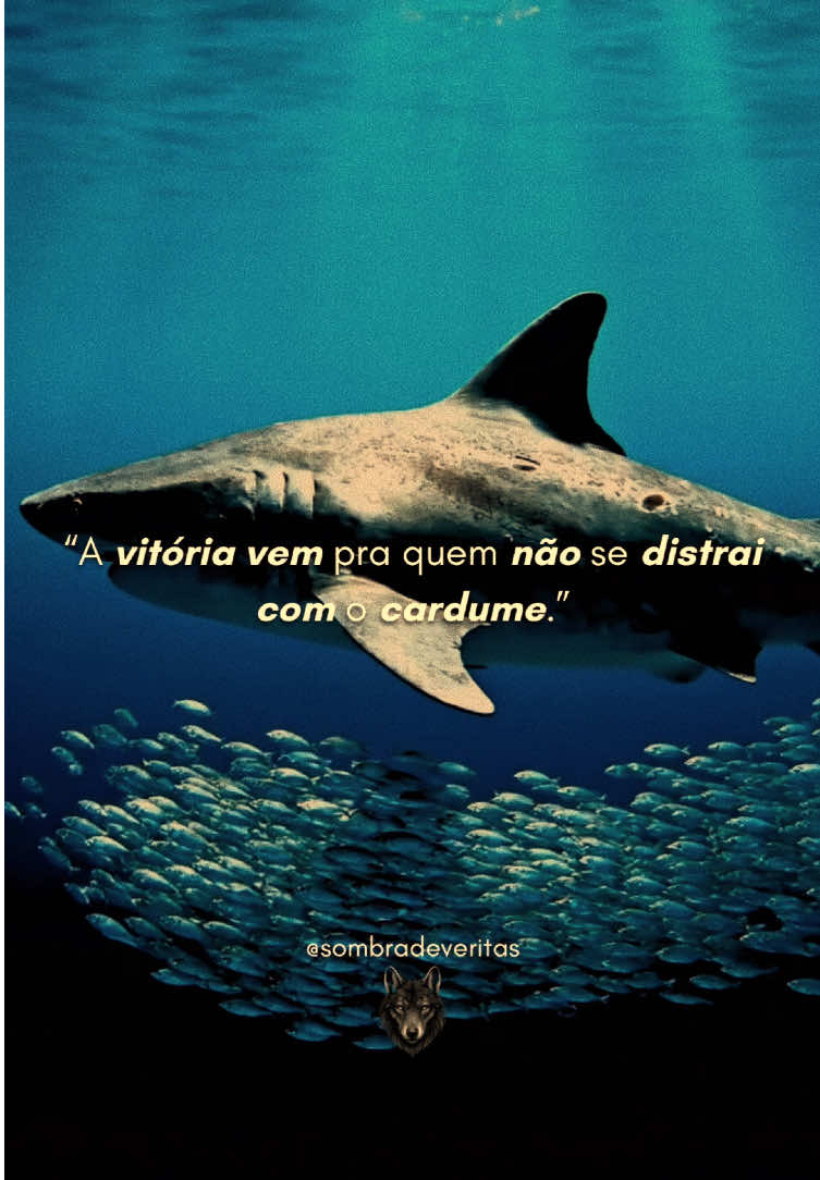 O cardume se agita. Segue o fluxo. Corre em grupo. Foge em grupo. Se distrai com o grupo. Mas o tubarão… não olha pro lado. Não se compara. Não se perde no barulho. Ele sabe que a vitória não vem pra quem segue a multidão. Vem pra quem ignora o ruído. Pra quem foca no alvo. Pra quem nada sozinho — com propósito, com frieza, com fome. O cardume vive pra sobreviver. O tubarão vive pra dominar. A vitória não é pra quem se mistura. É pra quem se destaca. Pra quem não se distrai com o movimento dos fracos. Pra quem entende que foco… é arma. Agora me diga: Você está nadando com o cardume… ou já aprendeu a caçar em silêncio? 🦈 #motivation #mentalidade #tubarao #vitoria #distração 