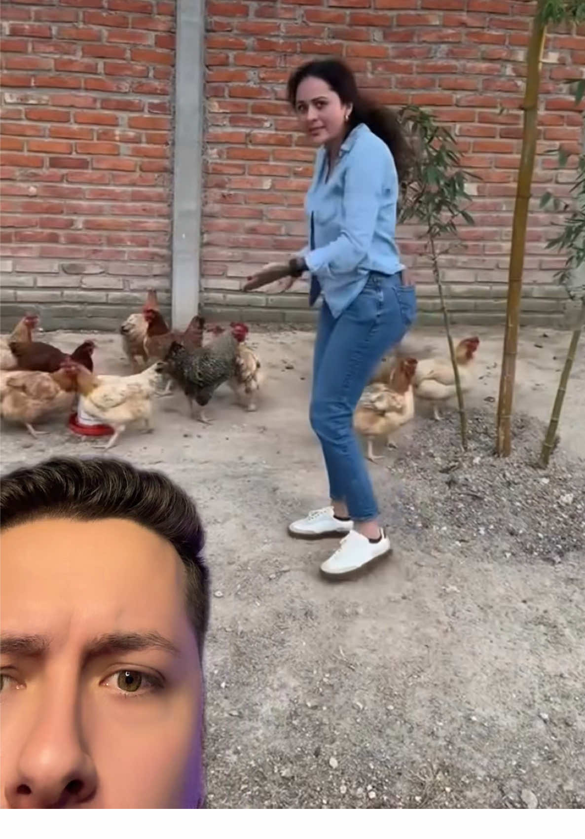 Donde estaba el gallo?😳😂 #antonyviews 