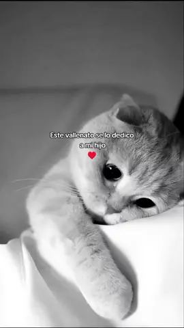 #❤️✨ 