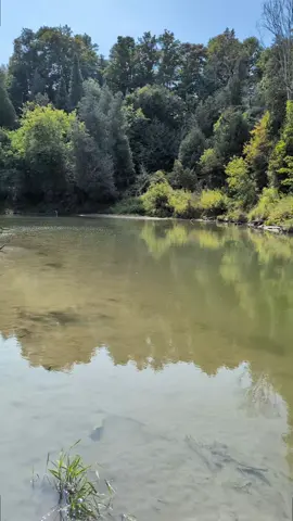 #fy #fyp #river #last #moment what would you do with your last moment