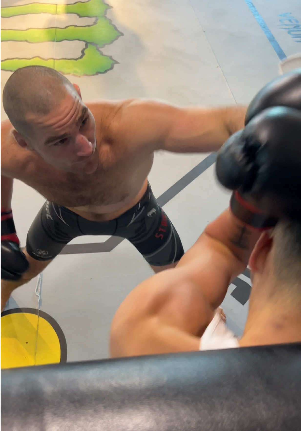 Throwback to the Full fight of Sneako vs Sean Strickland 😂 #seanstrickland #sneako #fyp #viral #UFC 