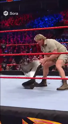 Steve Irwin vs The Stingray #steveirwin #sora #ai #fyp #WWE 