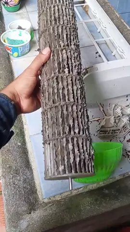 Mantenimiento de aire acondicionado, que cambio. #hvac #viral  #hvactechnician #hvachacks #aireacondicionado 