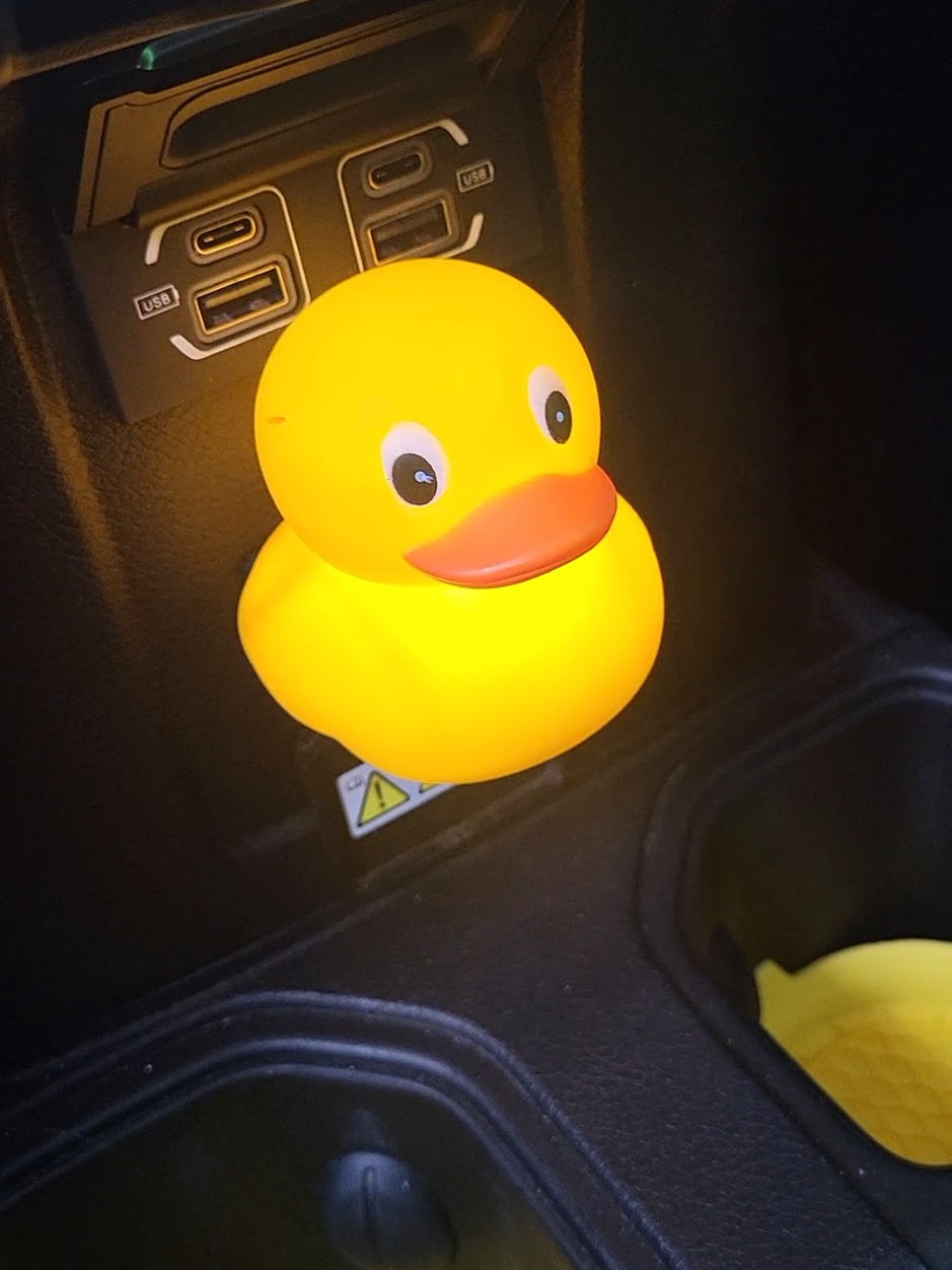 #jeepgirl #duckduckjeep #wv #hesperfect 