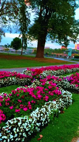 MAHI##FORYOU😉🤩 