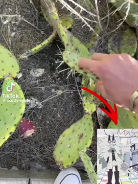 Why does it sound like him 😭#fundementalpapereducation #edwardfpe #fuck #fypシ゚viral #hello 