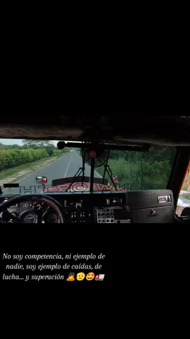 #amorcamionero #videoviral #paratiiiiiiiiiiiiiiii #loscromados #solovolcosconestilo🚛🚚😼 