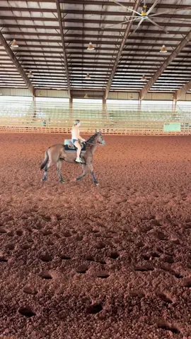 from VERY green to this in 90 days!! this is her 3rd trip to town with me and she handles it so well. she likes to go fast at home😗(end) 