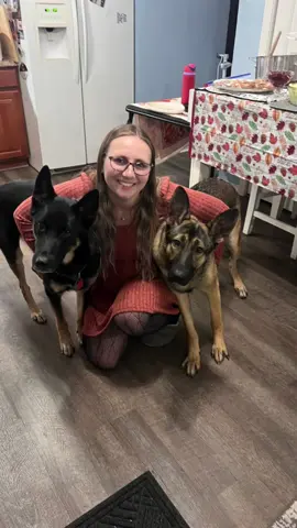 #jamesandserius #jamespotter #germanshepherd #dogs #puppy 