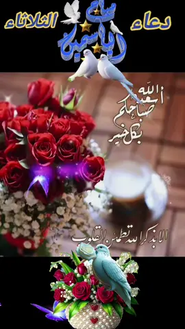 #دعاءالثلاثاء #صباح_الخير #صباحكم_أحلى_صباح🌹🌹 #صباحكم_معطر_بذكر_الله💚🌹🌿🌷😍🌸🙏 #صباحكم_معطر_بذكر_الله💚🌹🌿🌷😍🌸🙏 