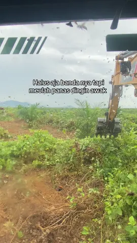 🐝#fyp #anaksawit #katakata 