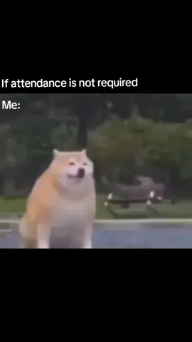 #meme #fyp #funny #relatable #viral 