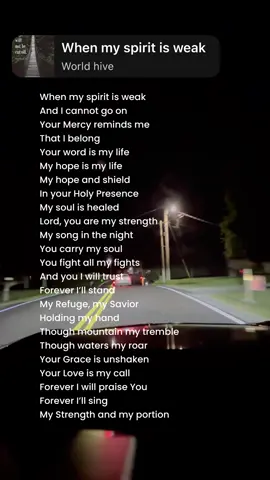 My Lord and my Savior 