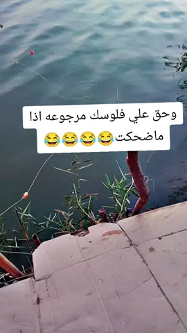 #الشعب_الصيني_ماله_حل😂😂 #الشعب_الصيني_ماله_حل😂😂 #ابداع_الشعراء #في هذا اليوم #ستوريات_منوعة🔥♥️ 