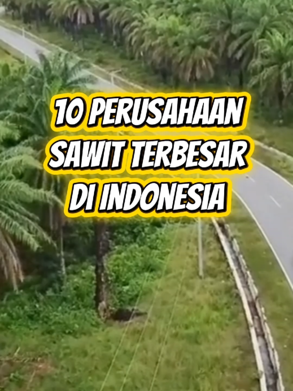 GOKIL! 😱 Ternyata Segini Luas Kebun Sawit yang Dikuasai 10 Perusahaan Ini! #faktaunik #fyp #sawitindonesia #industri #wowfakta 