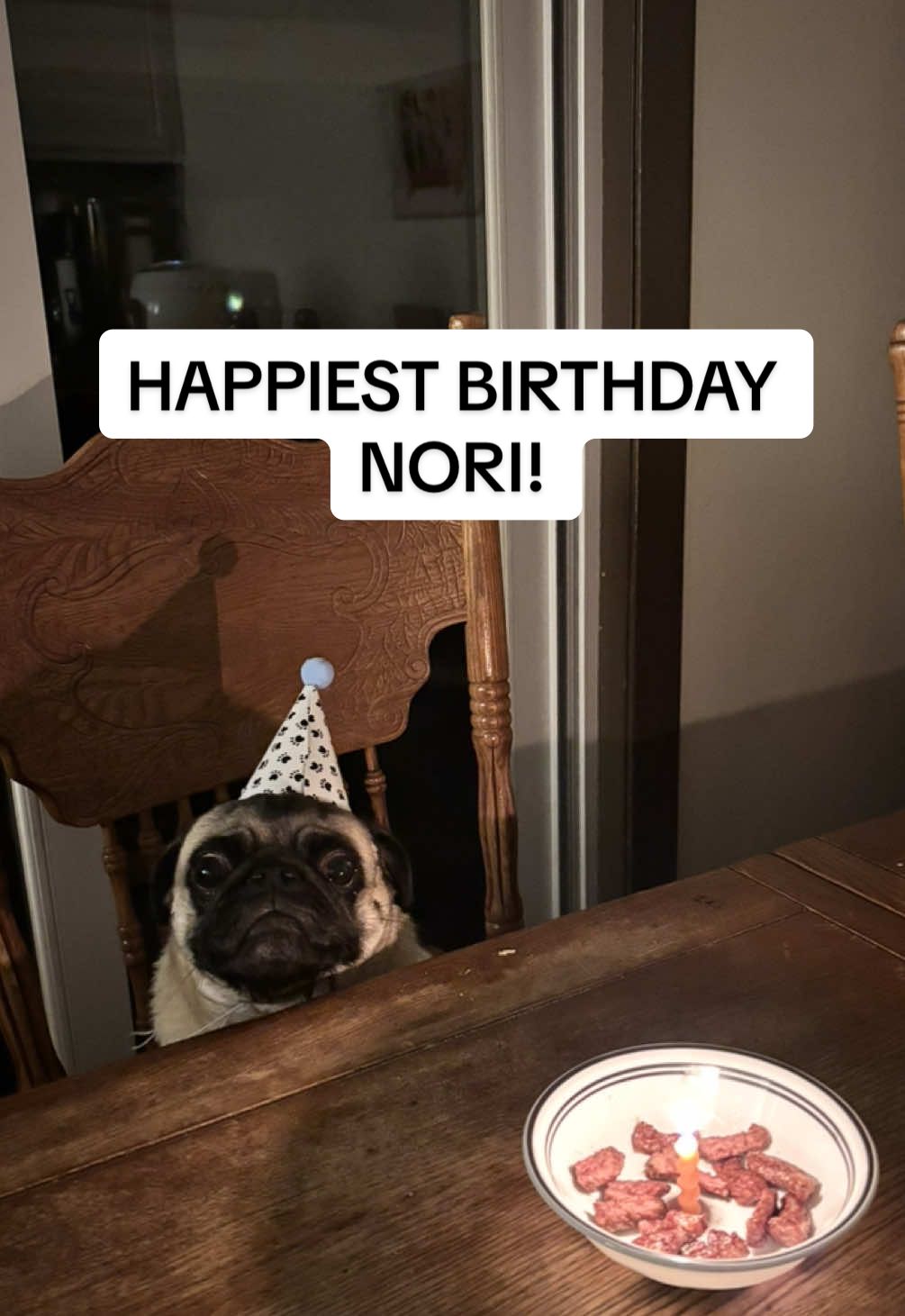 HAPPIEST 3rd BIRTHDAY TO THIS CHILD OF MINES! 🐾🎂 Steak for my girl on her special day ❤️ #pug #dog #birthday #fypシ #fyp 