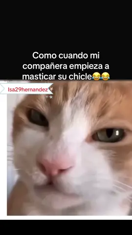 #Cuando están masticando chicles😂