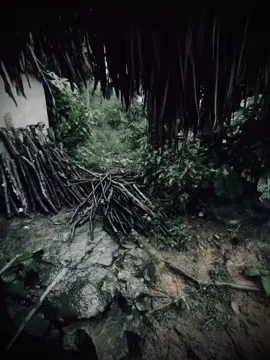 Từng cơn mưa hắt hiu bên ngoài song thưa
