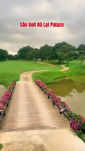 Sân Golf tuyệt đẹp ở Đà Lạt #dalat #rongchoidalattravel #rongchoidalatgroup #dalatstory #tiendalat 
