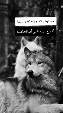 #fyp #F #f #شلفاوة_والحلاوة🔥 #شعب_الصيني_ماله_حل😂😂 