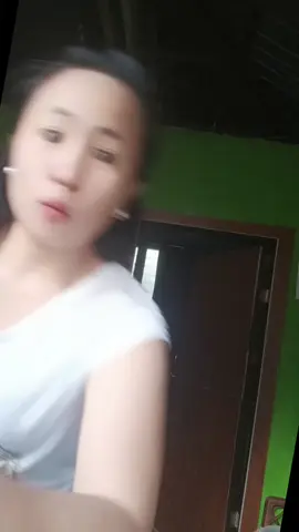 8pcs cockroach eliminator d masangsang ang amoy  pat tay mga ipis sa bahay nyo pag eto ang gamit mo anri ipis 🪳  #cockroach  #trap #bait  #ipistrap  #cockroacheliminator 