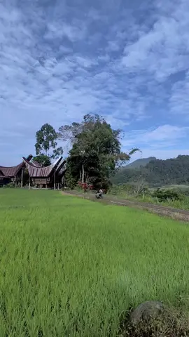 #torajasulawesiselatan #📍karre