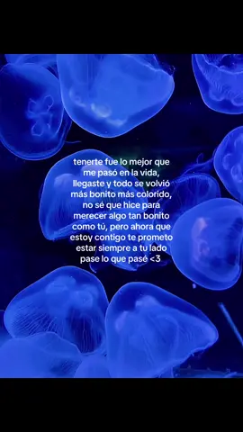 t amo 💘 #teamodemilformas #amoestarcontigo #dariatododemiporti #frasesparadedicar #demiparatiiiii 