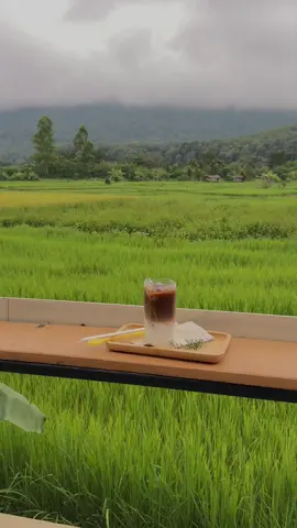 กินกาแฟมื้อเช้านำกันบ่ ##ปัว##น่าน