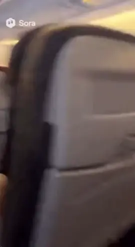 Burger King Cat on Plane#ai #cats #memes #viral #funny     