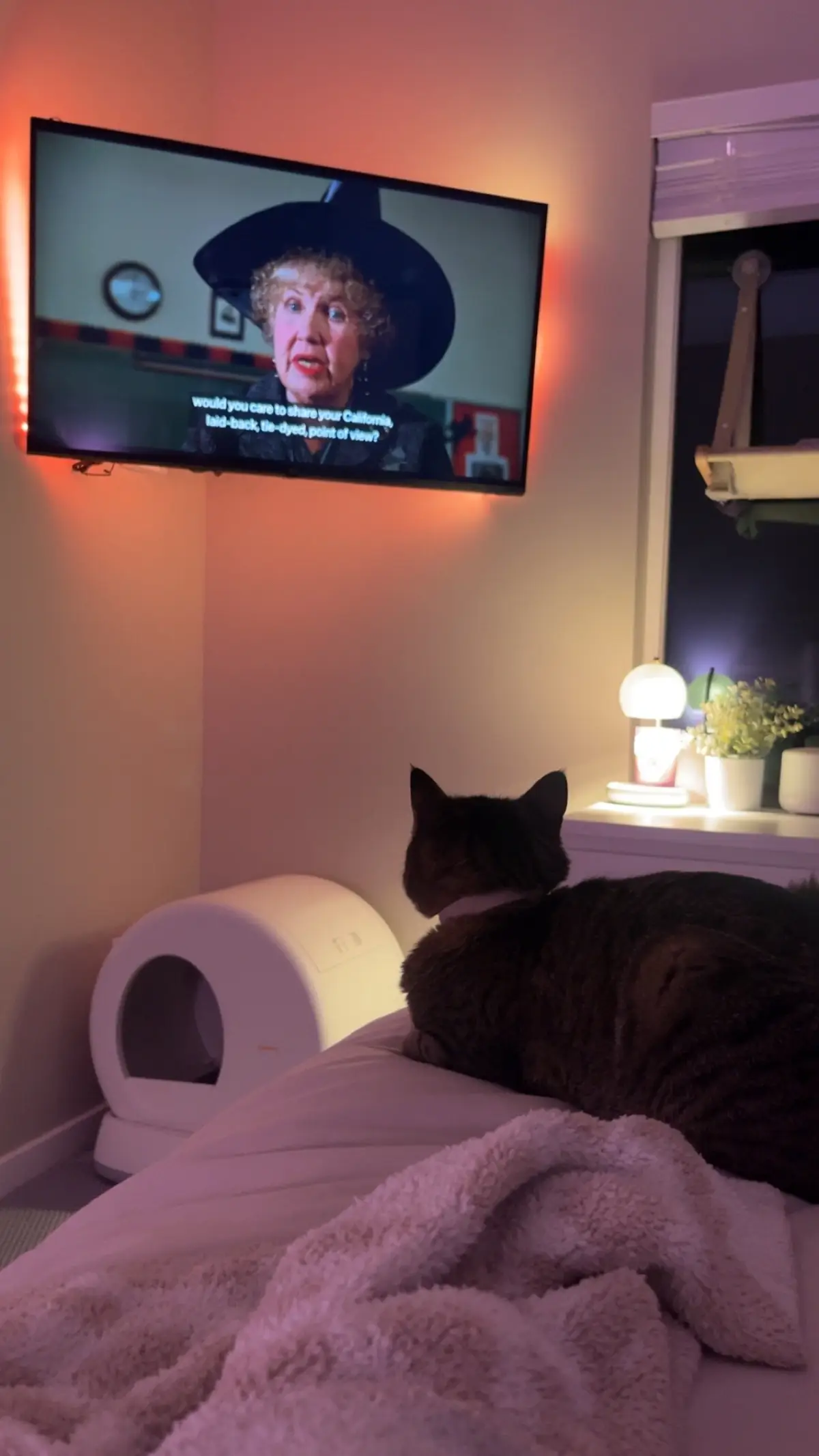 #foryoupage #trending #fyp #Lifestyle #viral 