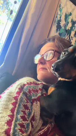 When I say she loves me, I mean she’s obsessed with me 🥰 #weinerdog #dachshund #sweetbaby #snickersfixtheworld #snickers 