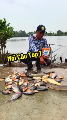 Mồi câu top 1 ae không dùng thì dùng mồi nào 🐠#bietdoisanhang 