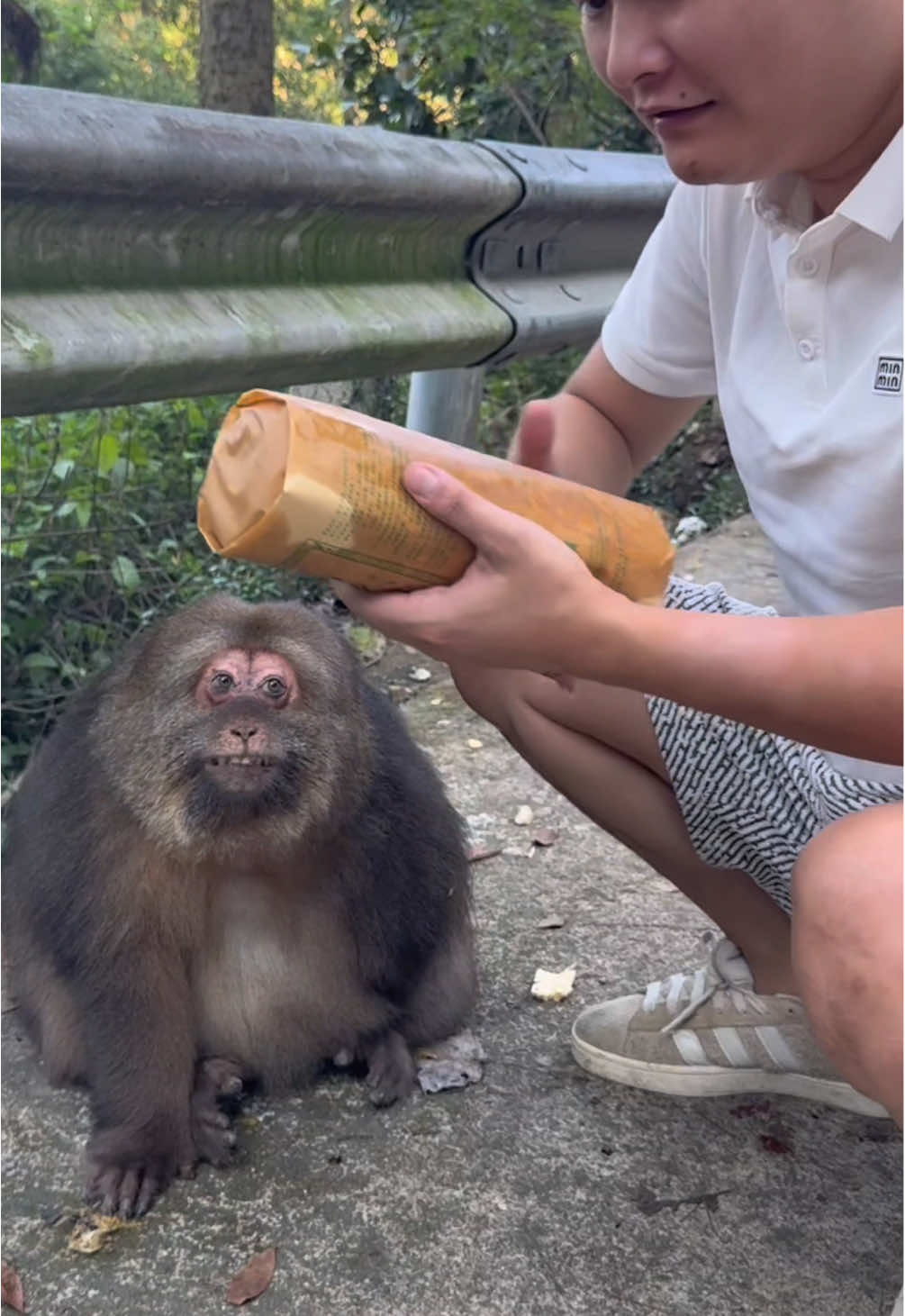 Today, I gave Xingxing mooncakes to eat. #monkey #cute #monkeyxingxing #lovely  #animals 