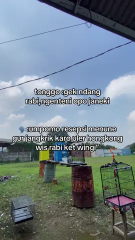 Tambaih gedang karo kates ben seger🙏🏻  #storykicaumania #kicaumania #cucakijo #muraibatuindonesia #fyp 