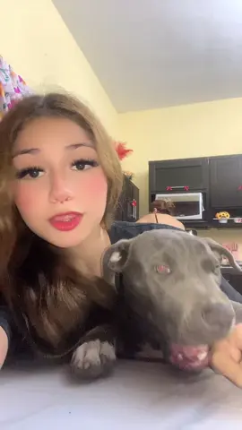 #contenido #paratiiiiiiiiiiiiiiiiiiiiiiiiiiiiiii #viraltiktok #perritostiktokers 