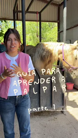 Consejos para la palpación en yeguas 🫶🏻  #veterinaria #yeguas #caballos #horses #CapCut 