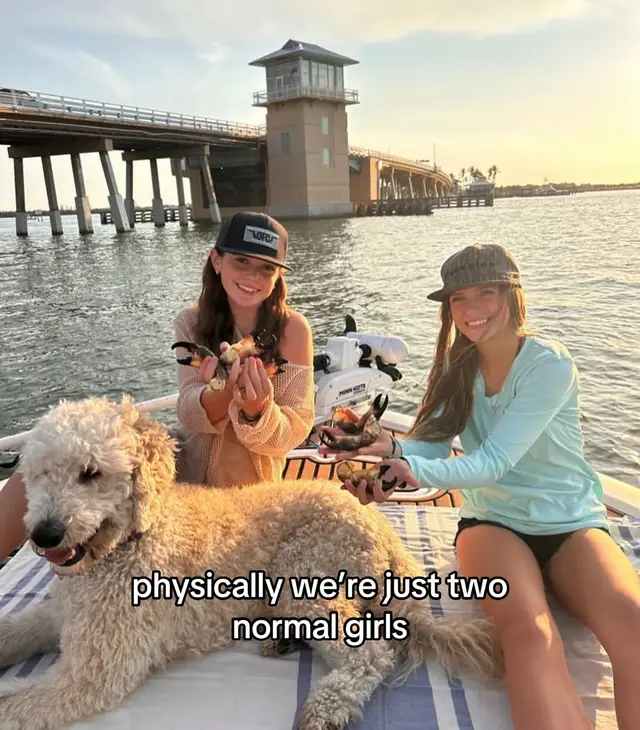 normals not the right word… @Ellievanderbaan @EV_FISHING #fyp #bsf #funny 