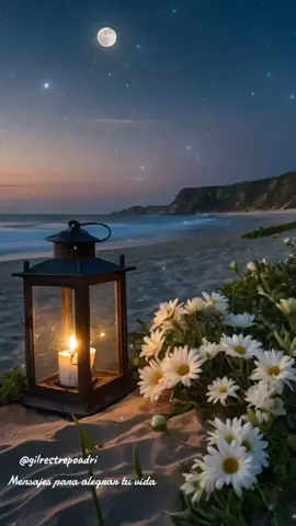 Feliz Y Bendecida Noche 💤  #felizybendecidanoche  #buenasnoches  #dulcessueños  #videodebuenasnoches  #mensajesparaalegrartuvida 