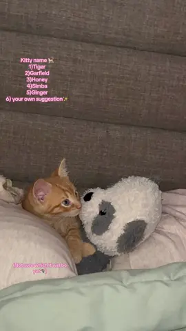 Ig in bio:3🍓🧃#enby #parati #kitty #nobinario #cat 