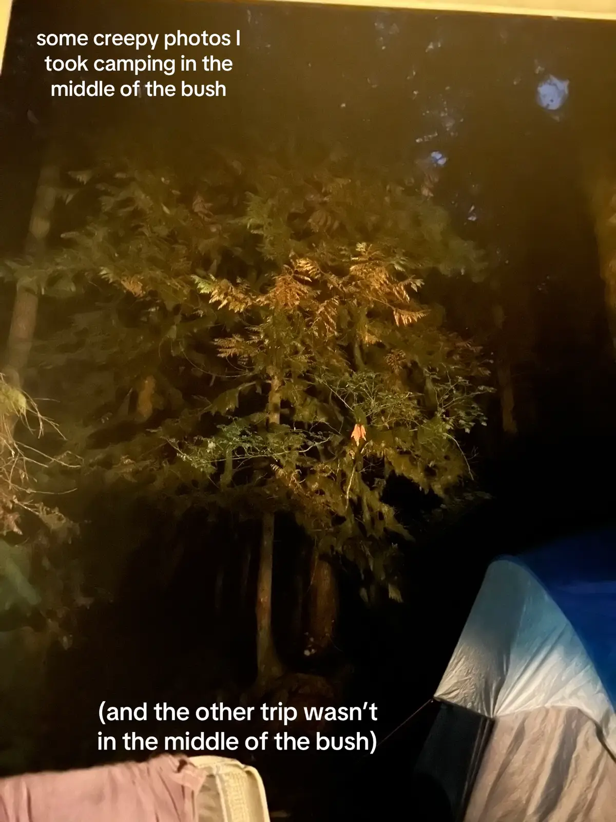 also i took good ones too but one of the trips there was no cell service so I couldn’t take a lot and the other one the cell service barely worked #fyp #creepy #camping 