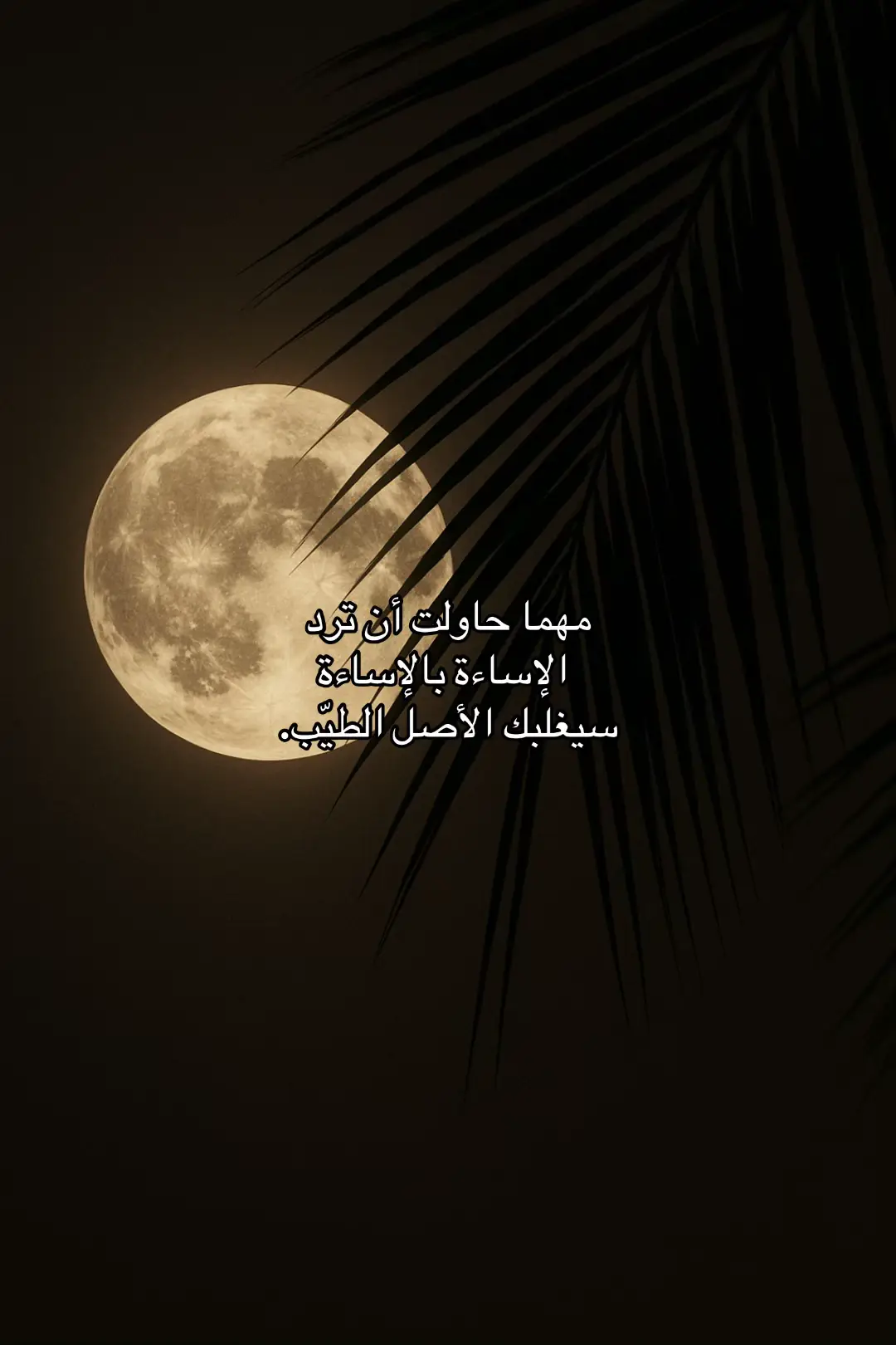 #📚اسلاميات 