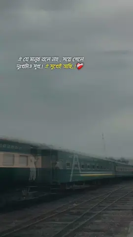ঐ যে মানুষ বলে না সয়ে গেলে দুঃখটাও সুখ,, ঐ সুখে আছি #foryou #foryoupage #vairal #foryou #foryoupage 