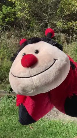 KEEP THE MONEY FLIPPING 💸🤑