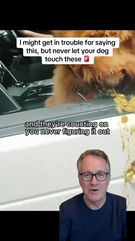 I might get in trouble for saying this, but never let your dog touch these‼️ #dogsoftiktok #PetsOfTikTok #pethealth #dogs #dogtips 