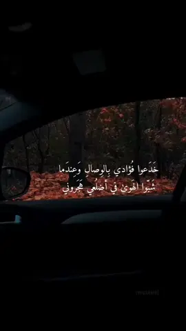 #في هذا اليوم 