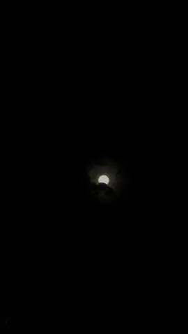 🌑🌑