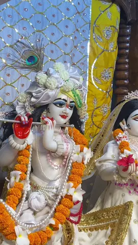 Sarad purnima special Darshan. #fyp #dharan #iskcon #iskcondharan #dailydarshan 