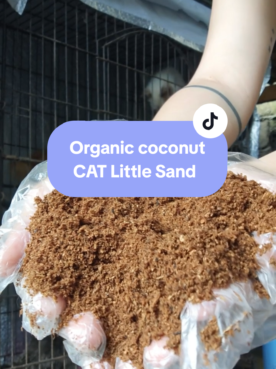 Replying to @nikasreccommendations “Gawa sa tunay na coconut fibers — eco-friendly, safe, at odor-free! #kusotascatlitter  #coconutcatlittersand  #catlitter  #catlittersand  #littersand 