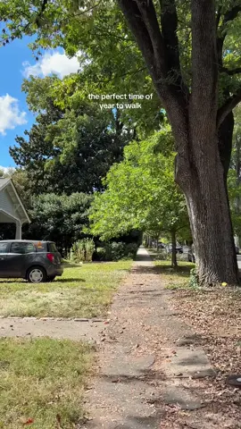 the sweet spot of sunny and warm but also leaves changing color and falling and there’s a cool breeze every now and again.. perfect #fall 